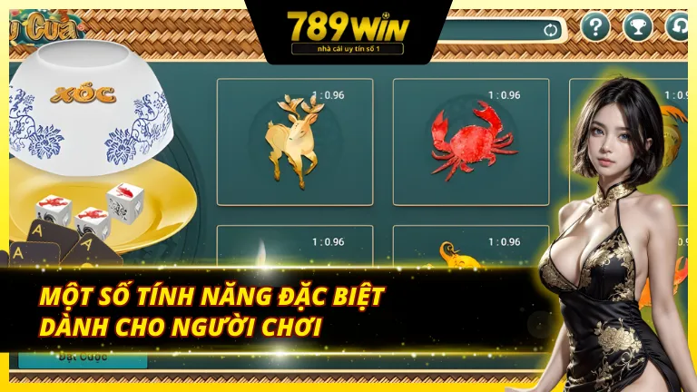 Các tính năng đặc biệt trong vòng quay